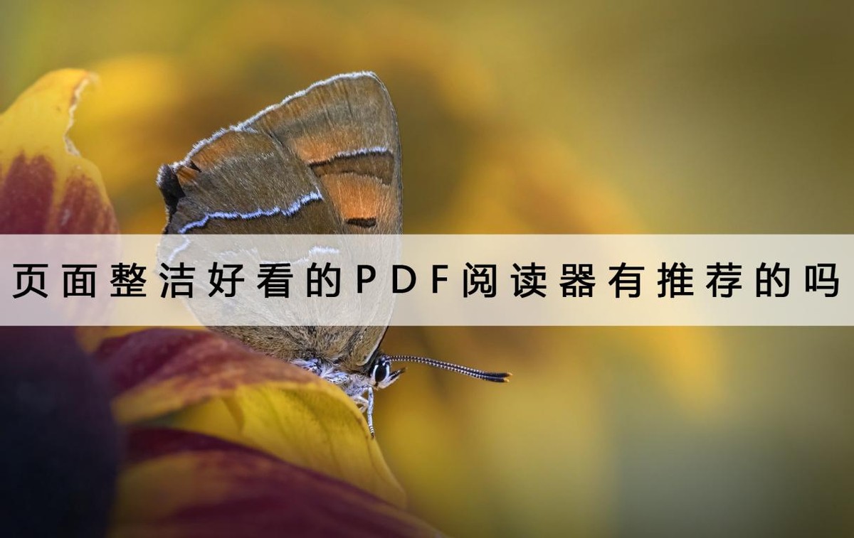 pdf阅读器简洁美观,免费实用的7款pdf阅读器
