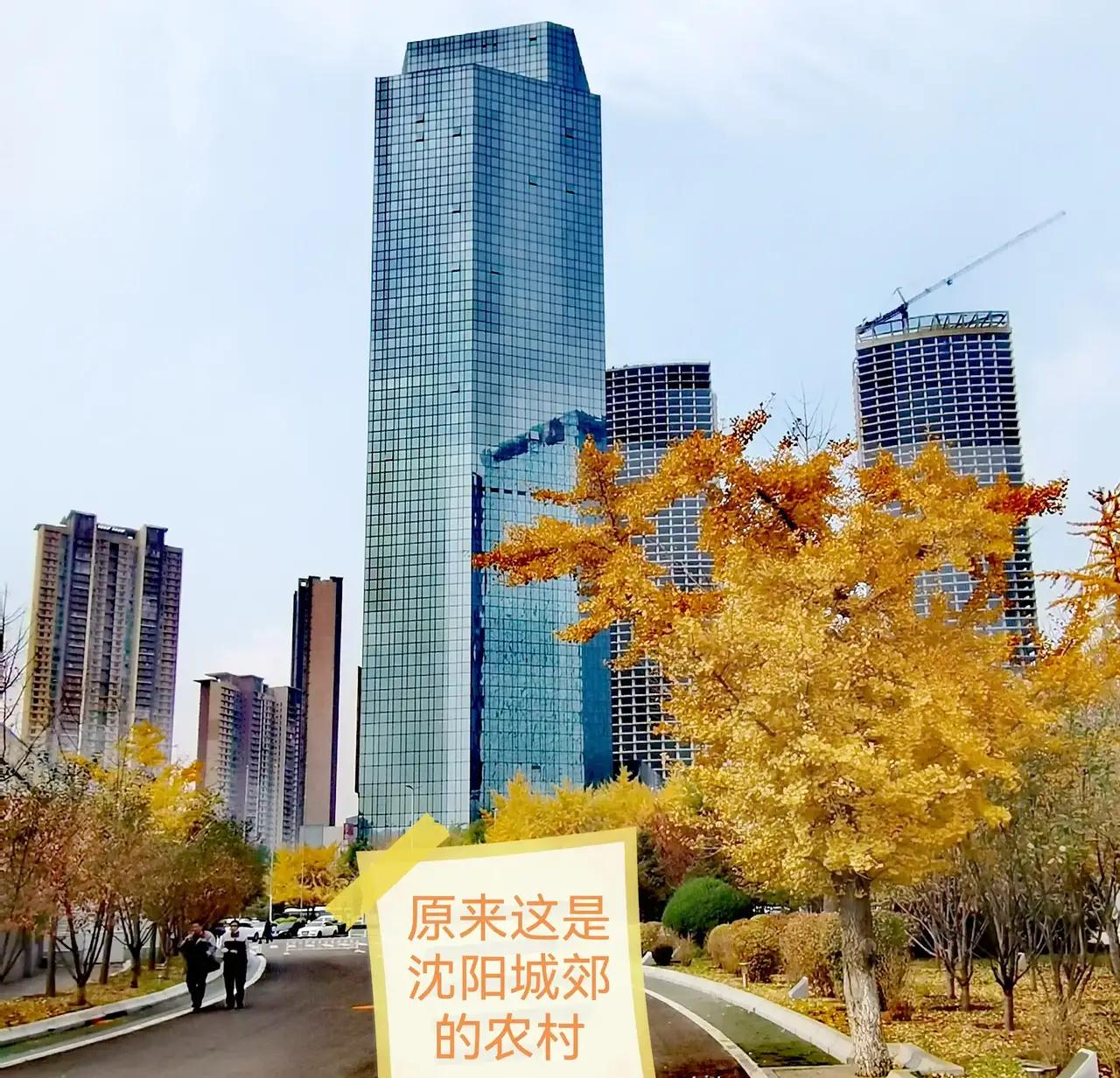 沈阳军区陆军学院,沈阳军区陆军总医院