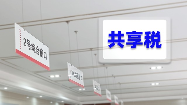 如何规范政府购买公共服务的行为,政府购买公共服务例子