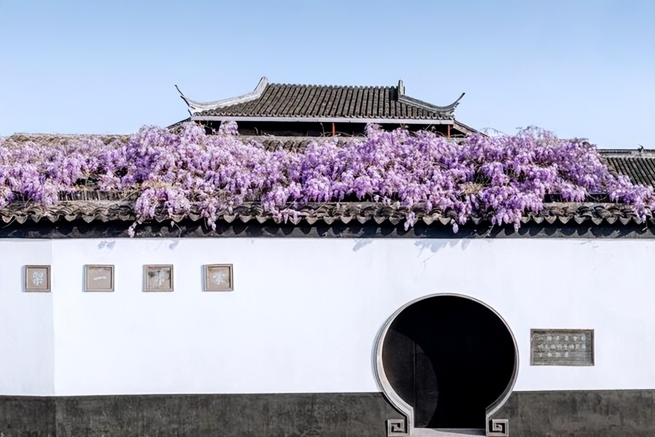 苏州旅游十大赏花景点,苏州赏花最佳景区排名