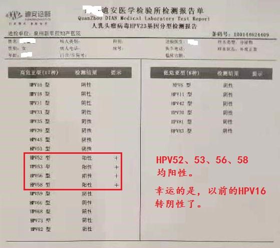 治疗hpv高危持续感染的临床研究,治疗hpv高危感染的科普文章