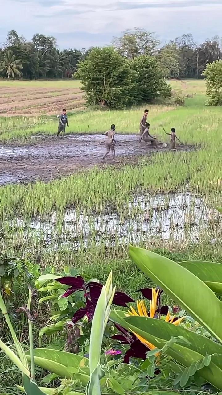 村超到港奔赴情谊之约,村超到港奔赴一场情谊之约