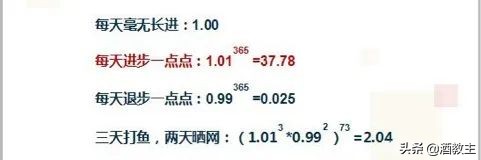 复利的威力到底有多大,深度分析白酒收益