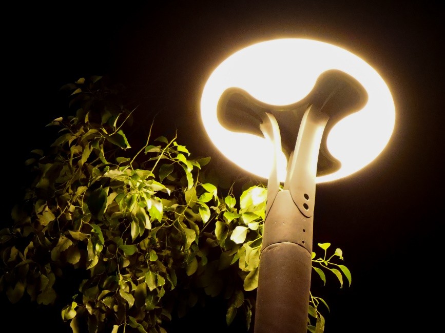 支持30倍光学变焦的便宜相机,支持0.5变焦广角拍摄视频的手机