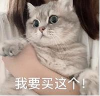 沃尔沃顶级音箱,沃尔沃高端音响