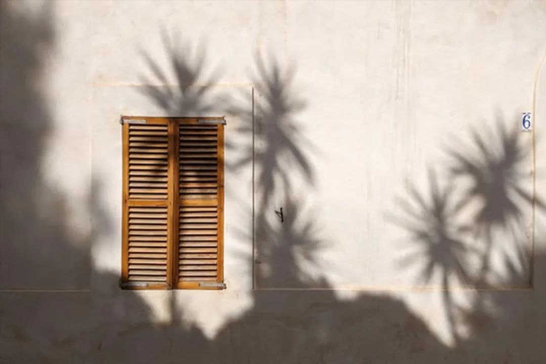 怎么样让女生感觉有安全感,女生想要的安全感价值感依赖感