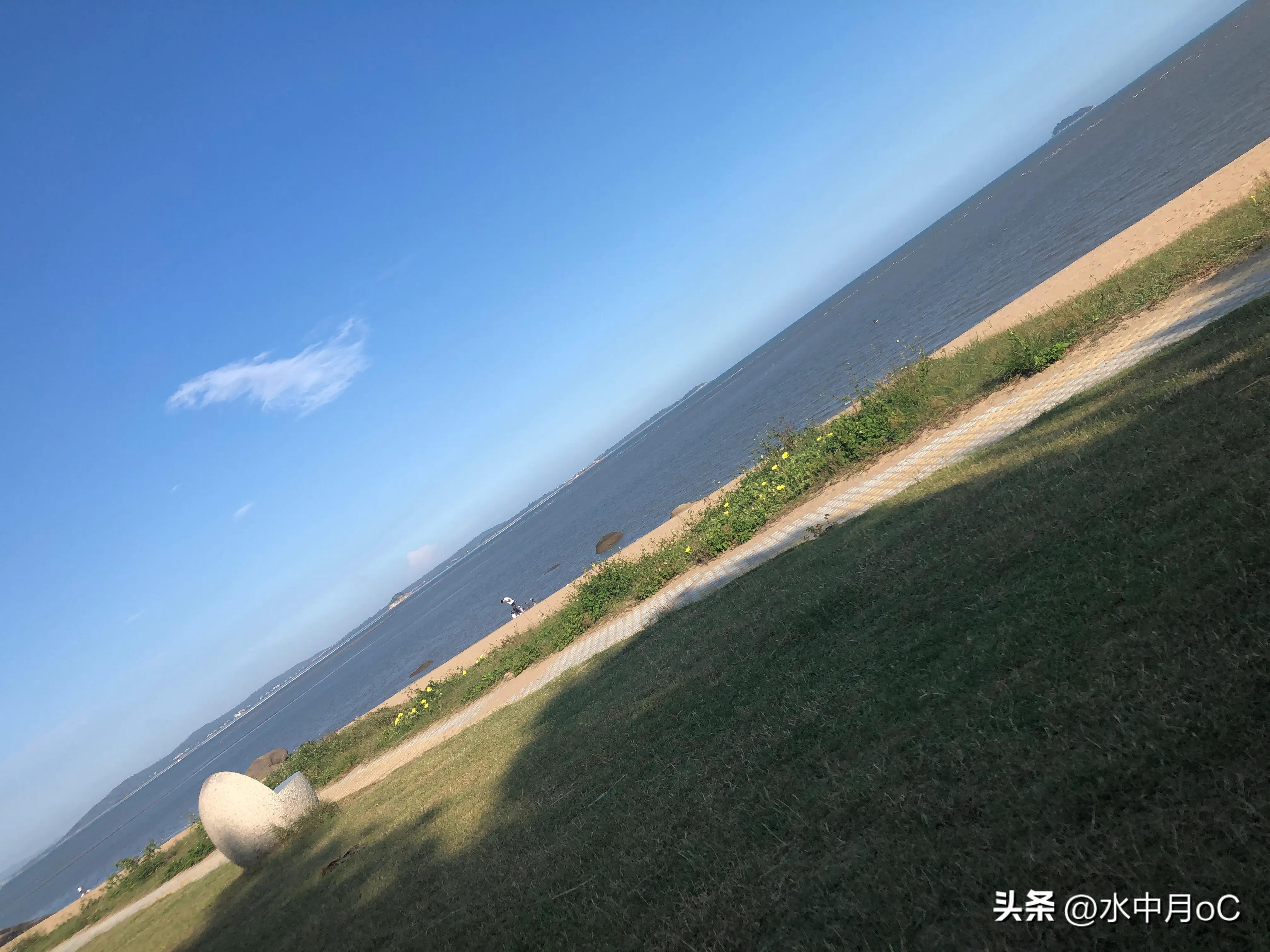 出海捕鱼工作真实经历,记录我的出海捕鱼时光