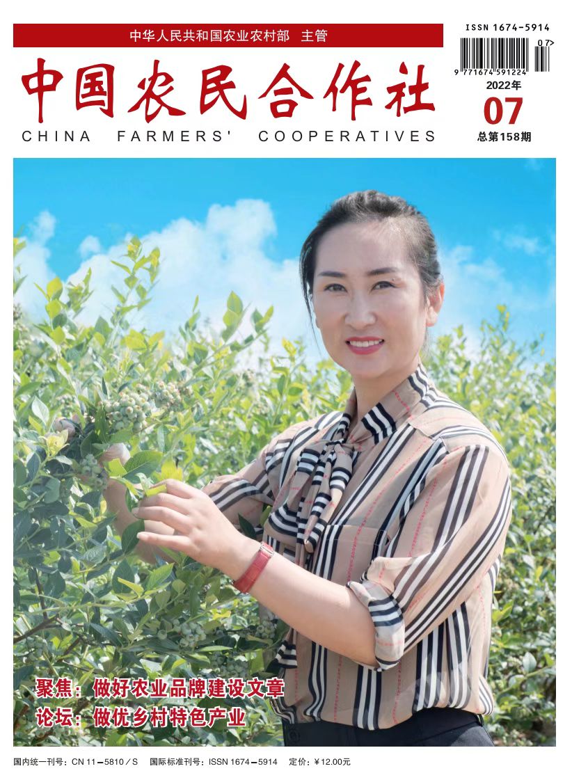 宜兴芳桥规划金兰村,金兰村宜兴