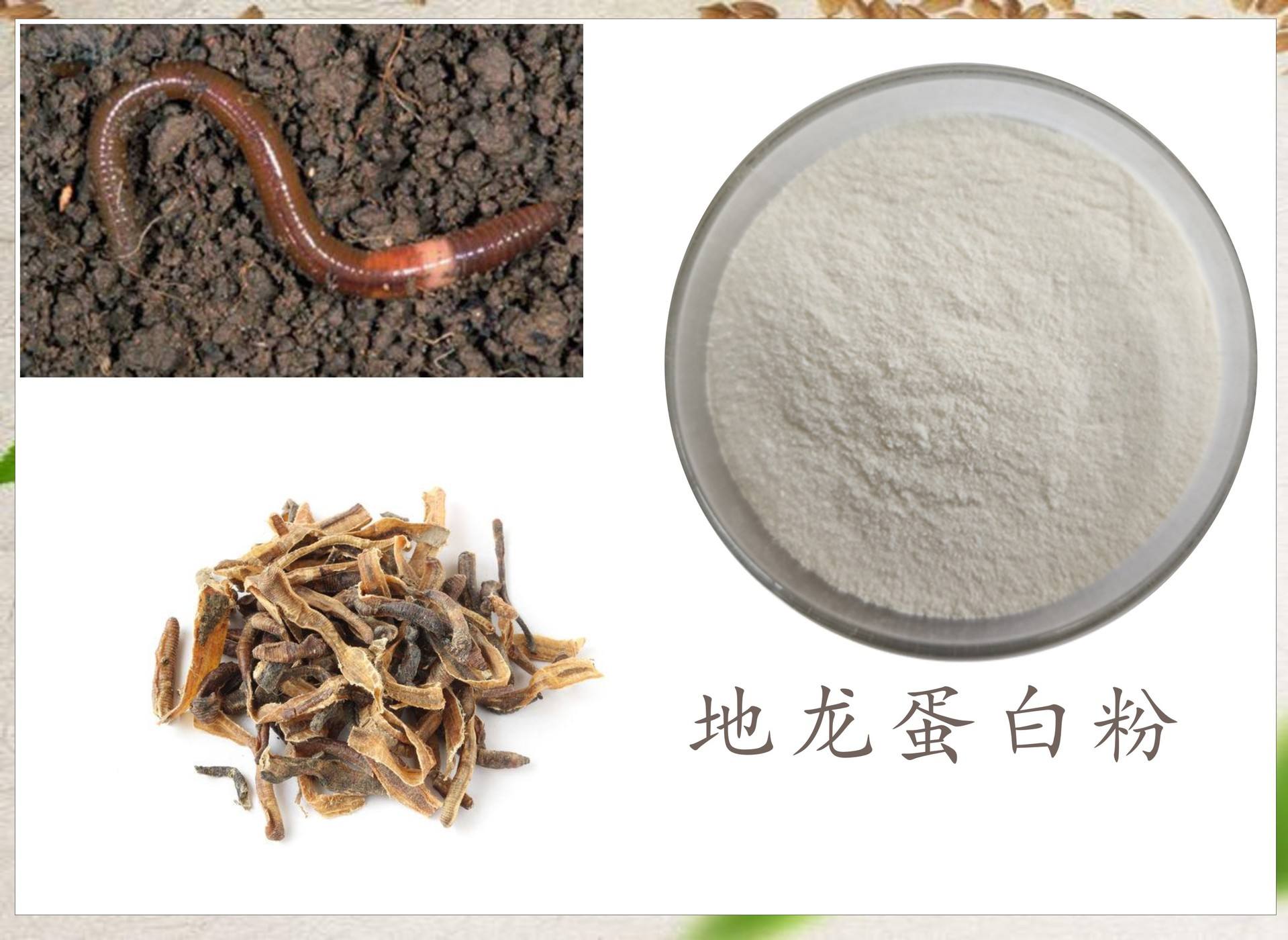 用什么来诱捕野生蚯蚓,电捕野生蚯蚓为什么禁止