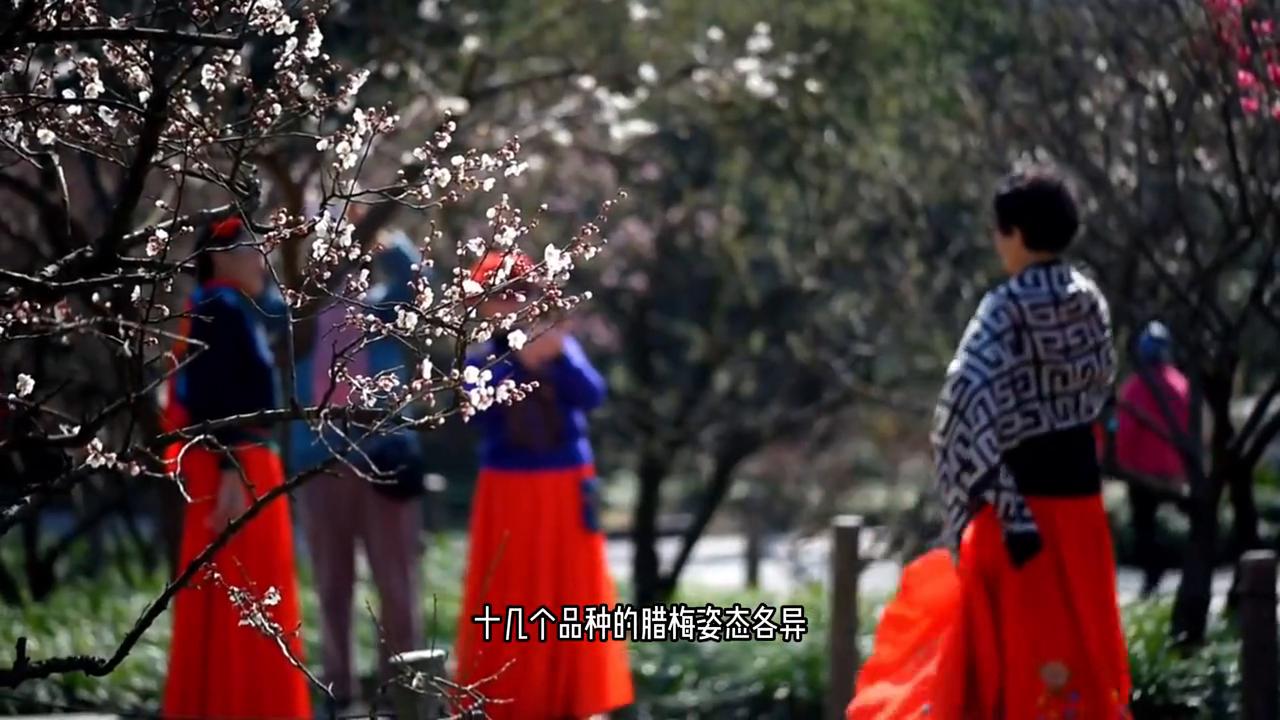 上海深度旅游攻略图,冬季上海旅游路线