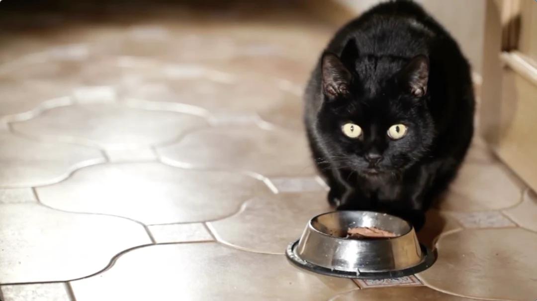 零基础统计学入门必看,初学统计最掌握哪些东西