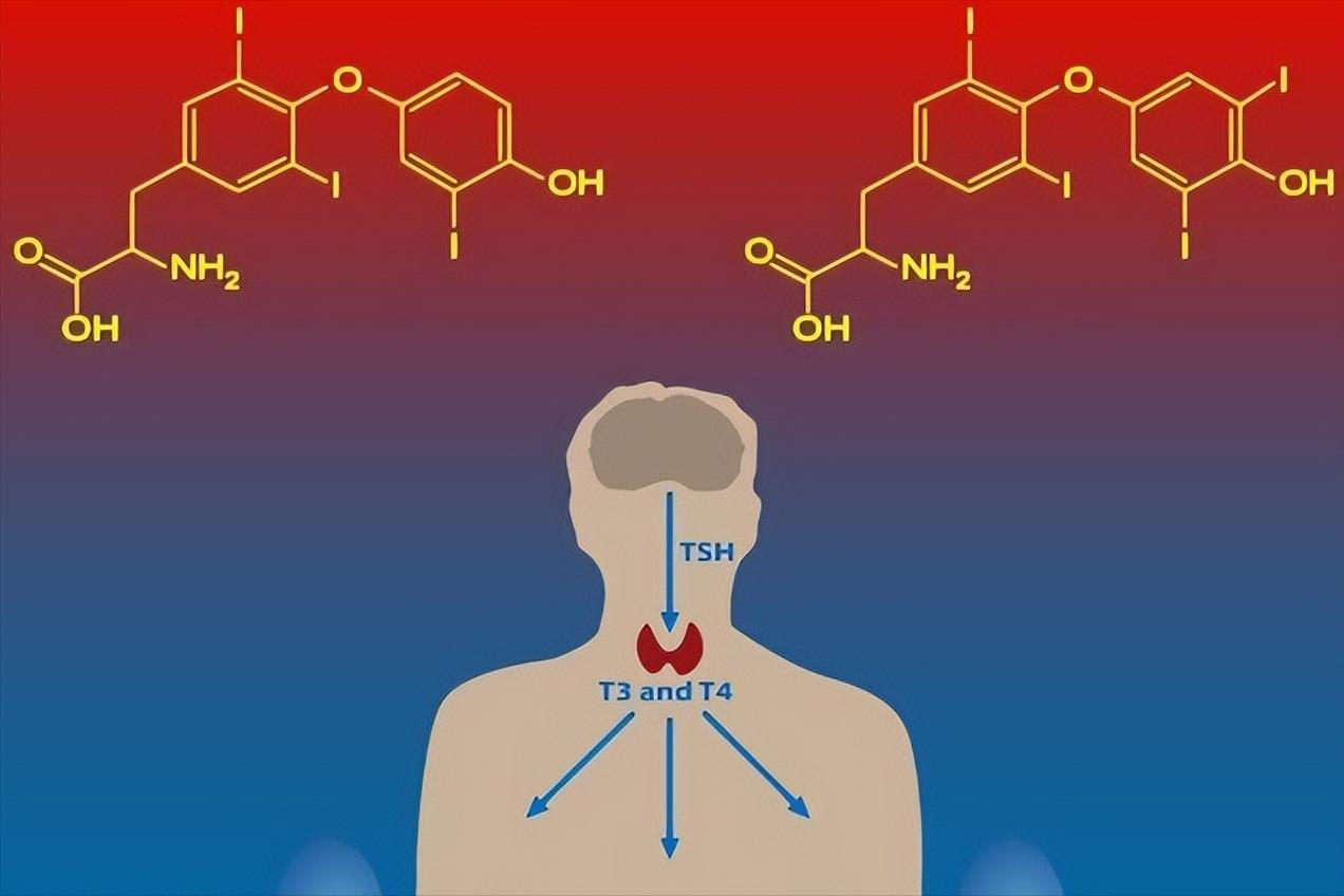 阴毛有啥用？刮掉行不行？医生：对待阴毛，这几点要认清，别害羞