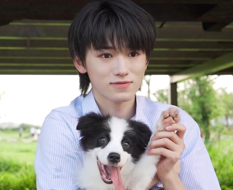 多位明星为高考加油：肖战唱歌，谭松韵送字，迪丽热巴最有寓意