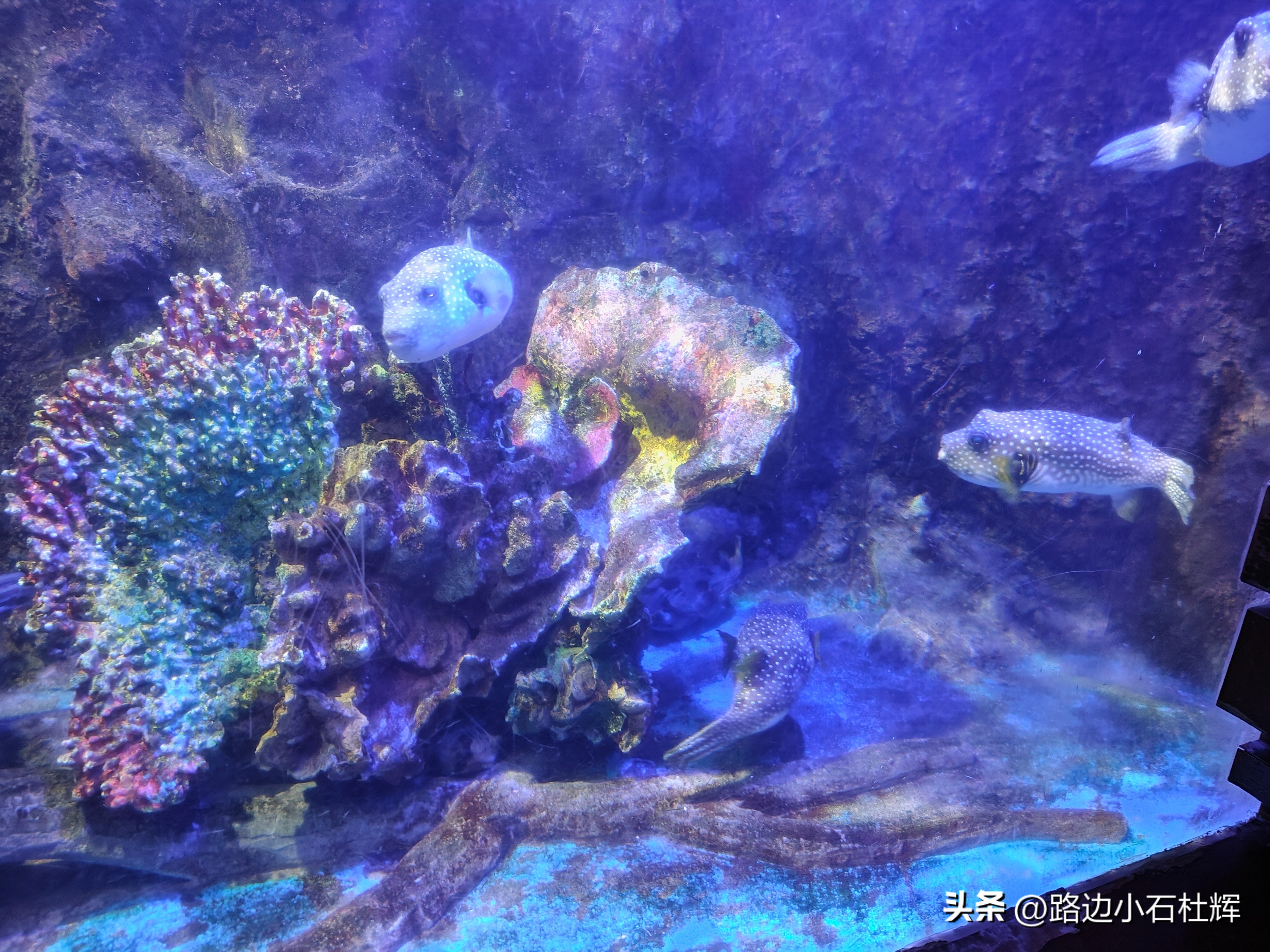 游游人间,游旅人间