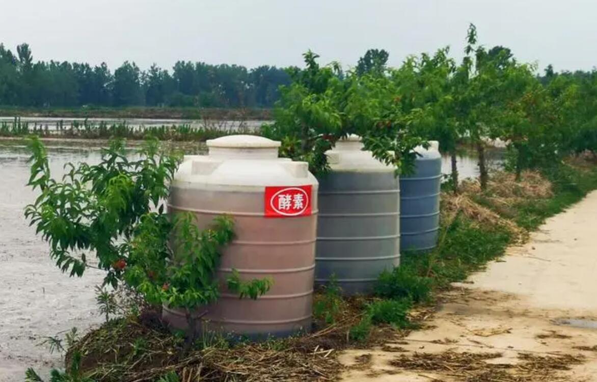 农业种植用酵素怎么制作,自制酵素肥料的效果好吗