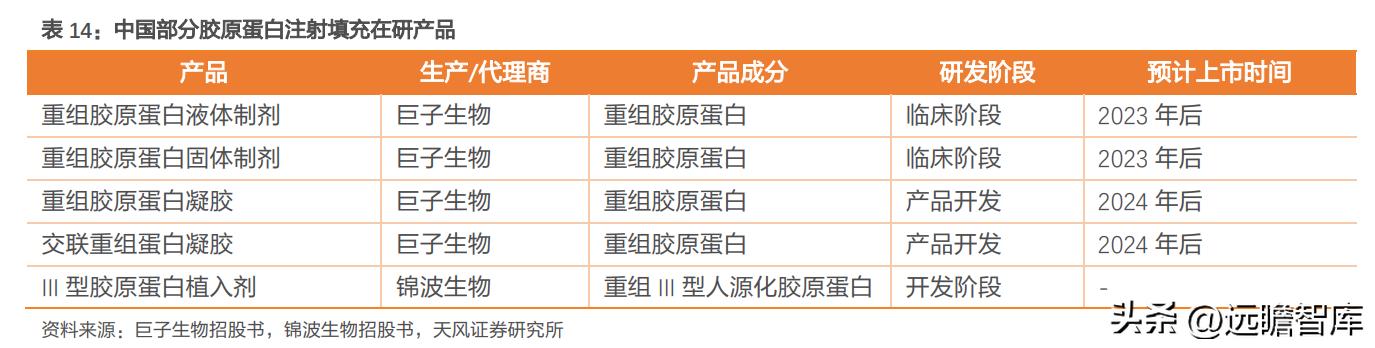 巨子生物重组胶原蛋白,巨子生物三型胶原蛋白获批