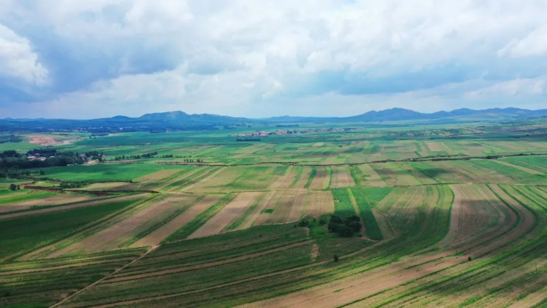 辛巴开启直播带岗招聘新模式，通辽：奈曼山嘴小米直播专场启动