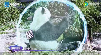 原来跟他们一起“追星”，真的可以一键清除emo