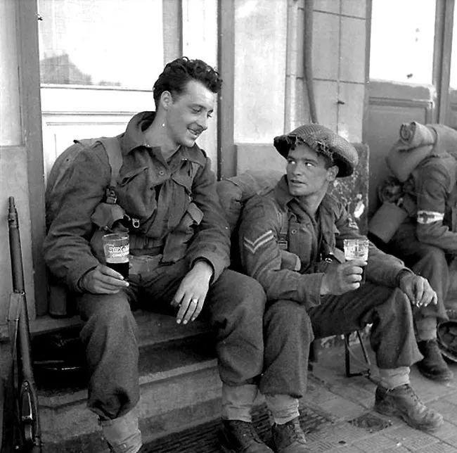 蓖麻子为什么成为了战略物资,美国将蓖麻列为战略物资