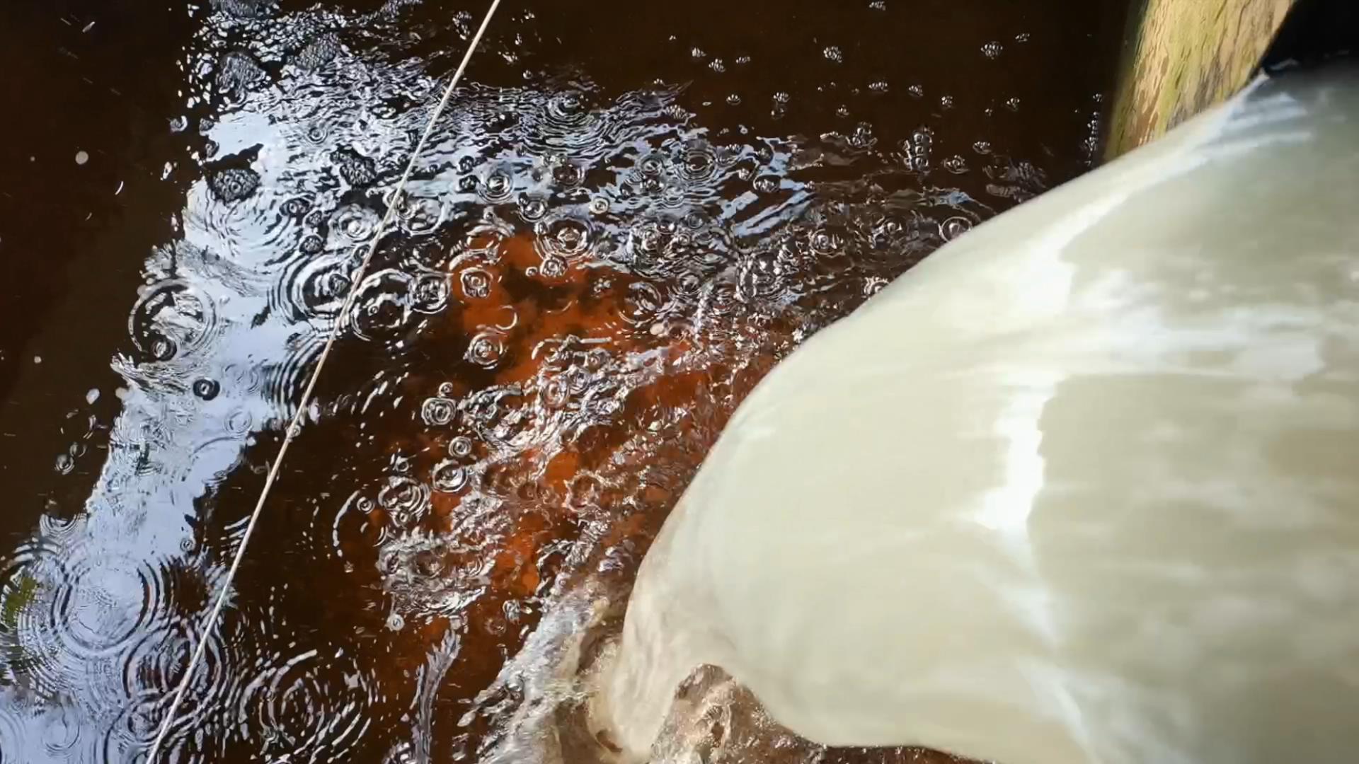 无土栽培瓜果方法,无土盆栽蔬菜种植技巧