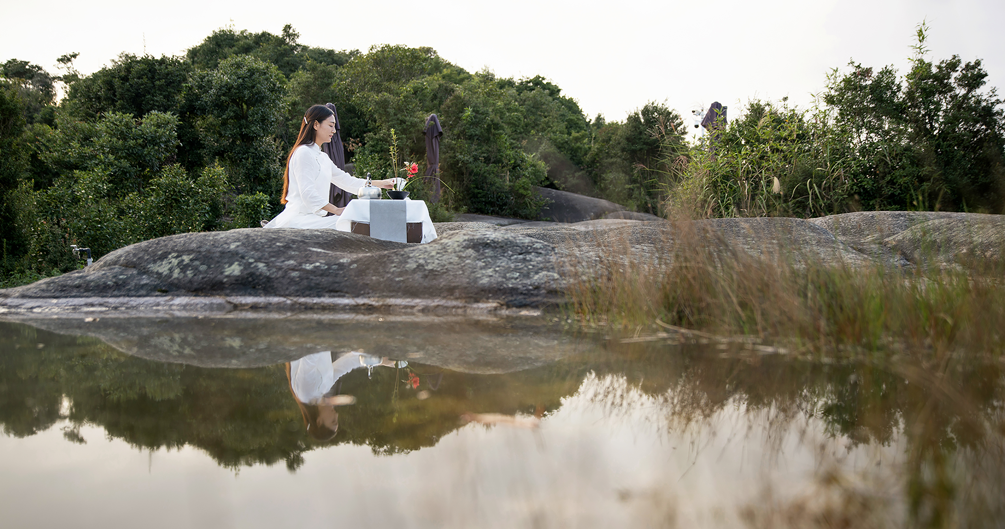 体验茶的独特韵味,探寻茶的乐趣视频