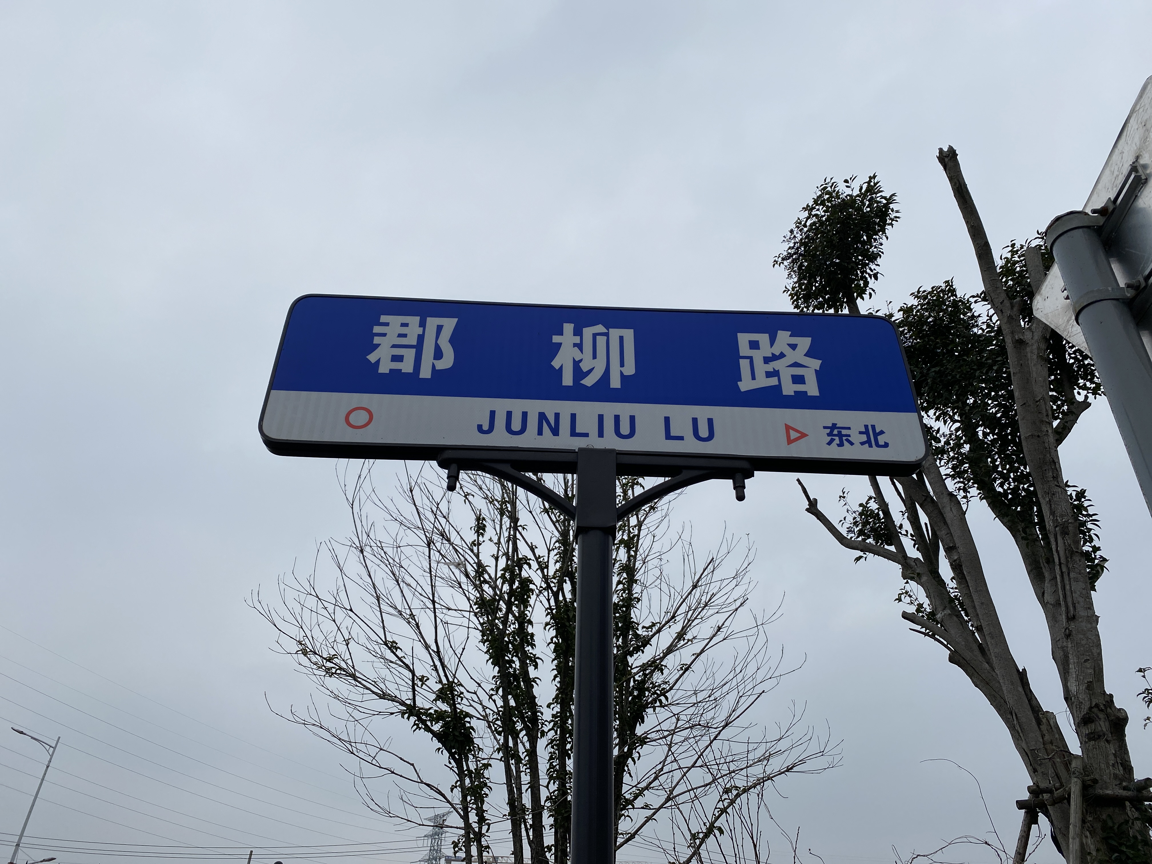 宁波地铁邱隘东站上的好兄弟，郡杨路和郡柳路，聊聊杨柳的故事