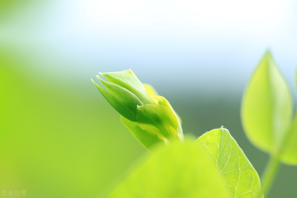 心累做什么可以治愈,心里苦如何克服