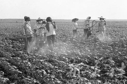 农药中毒过程科普,农药中毒有十几年了留下后遗症了