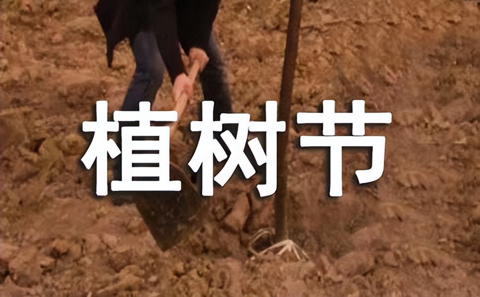 植树节的宣传标语绿水清浅,植树节的宣传标语幼儿园图片