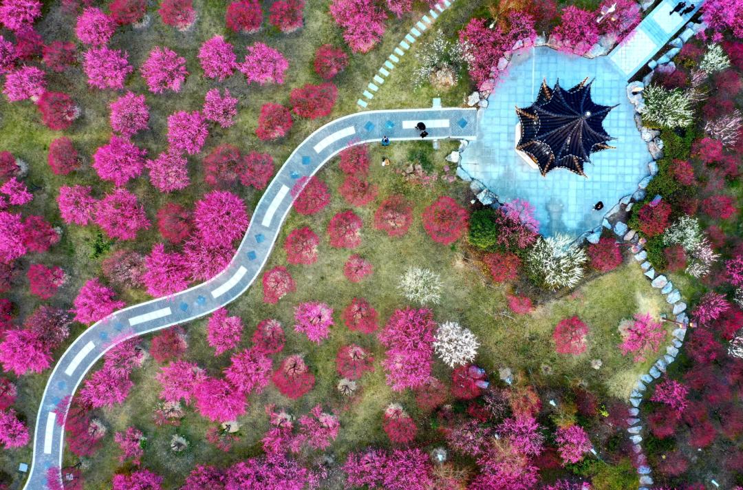 春风吹暖就业季绽放民生幸福花,春暖花开经济