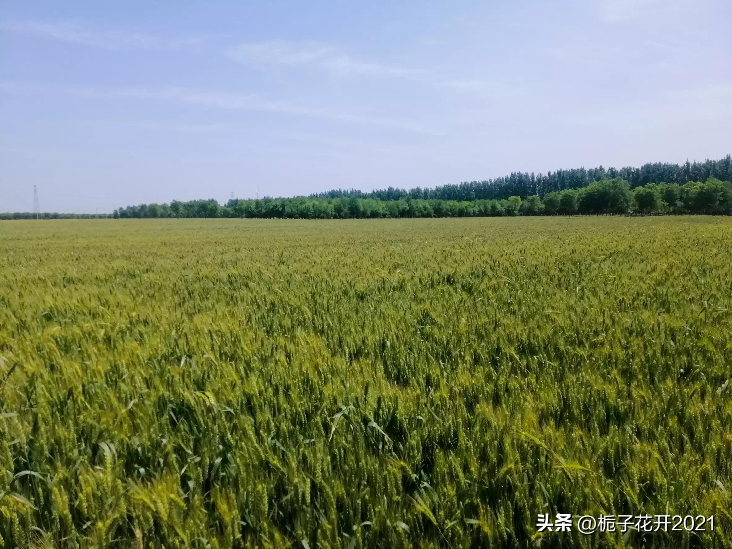 赞美春天和冬天,与春天挥手与夏天拥抱