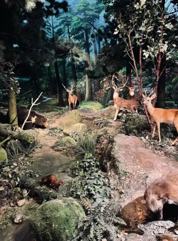 天津遛娃好地方,天津遛娃的免费公园