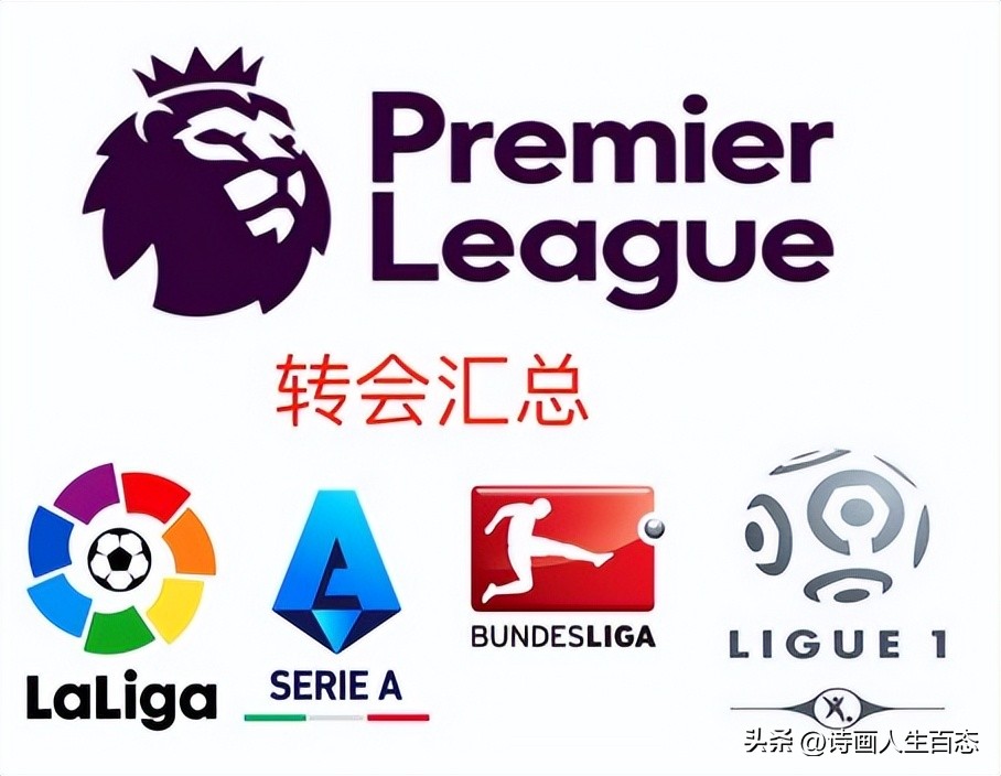意甲转会,意甲转会一览15-16赛季