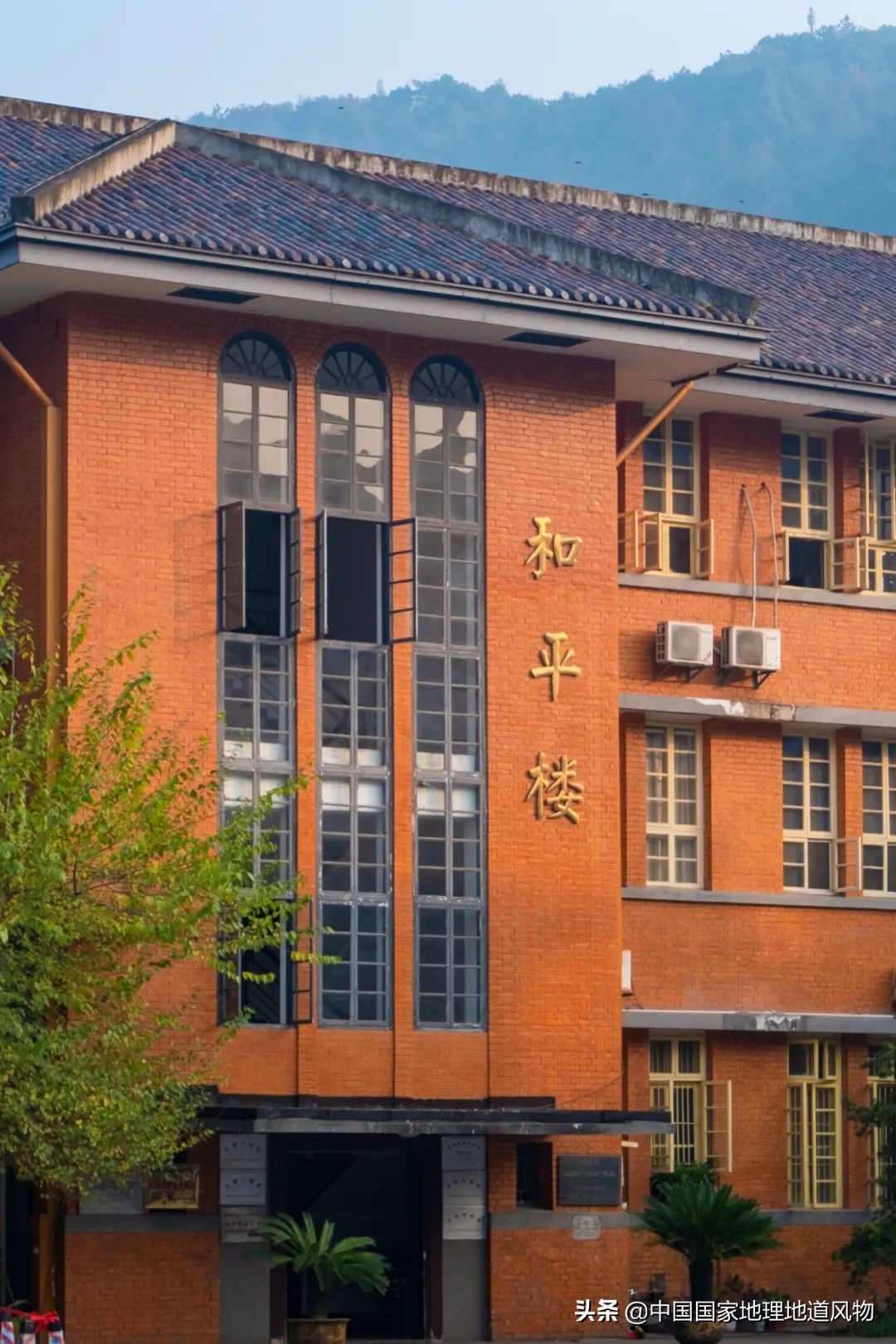 中南大学中南矿冶学院,中南是哪个大学