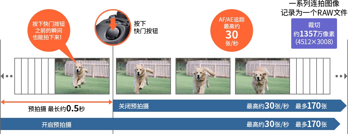 佳能eosr10实拍效果,佳能eosr10怎么样