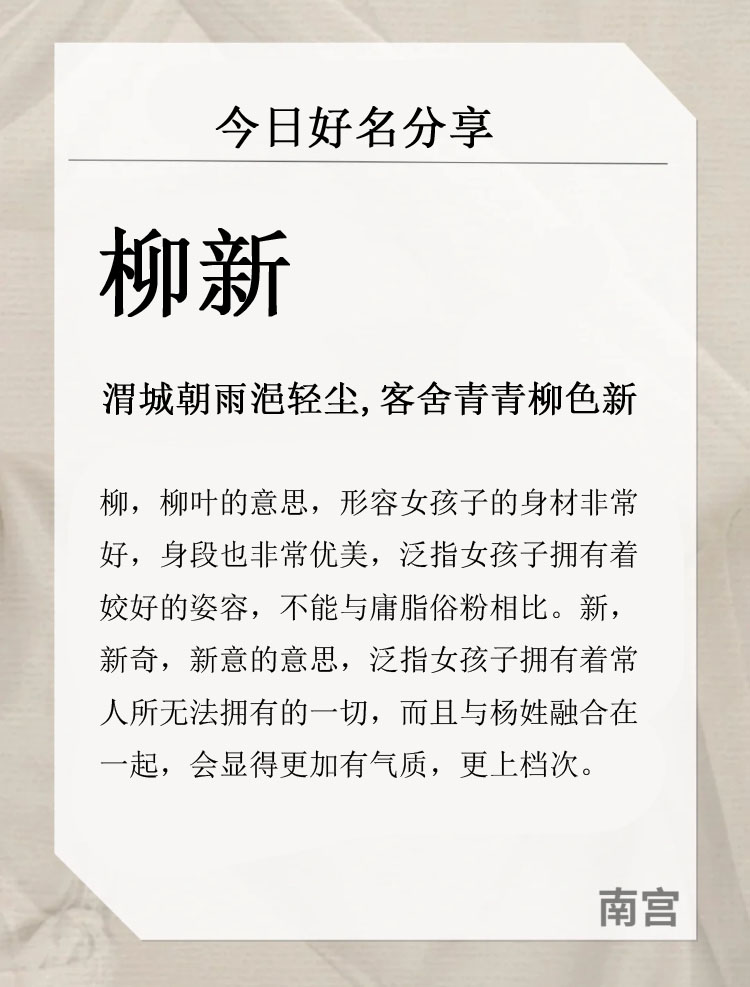 布偶名字独特小众,猫猫英文名字独特小众