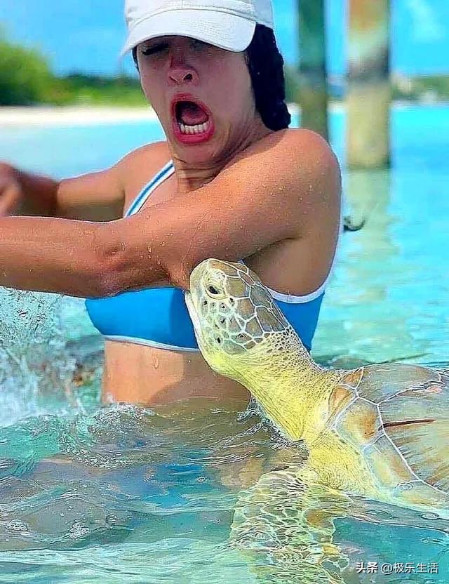 海底奇观欣赏,海底世界奇妙之旅图片