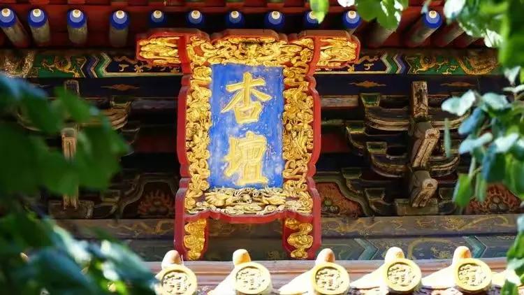 曲阜三孔纪行（作者：刘长玉）