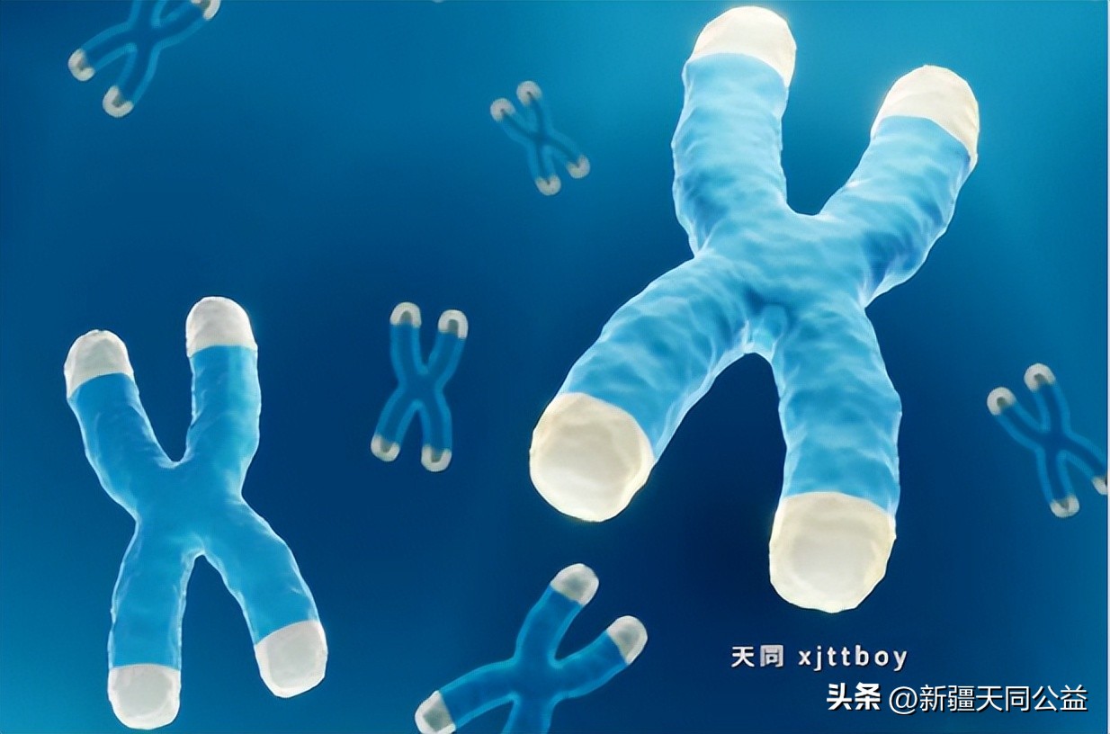 HIV加速衰老:ART、早期检测和合并症的作用