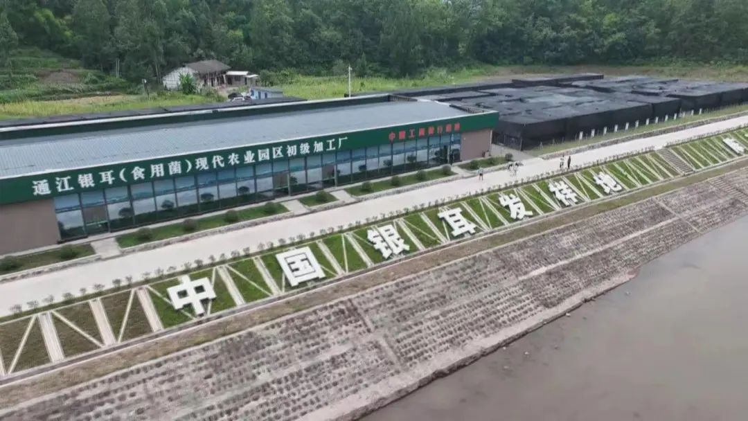 如果你要写通江，就不能只写通江