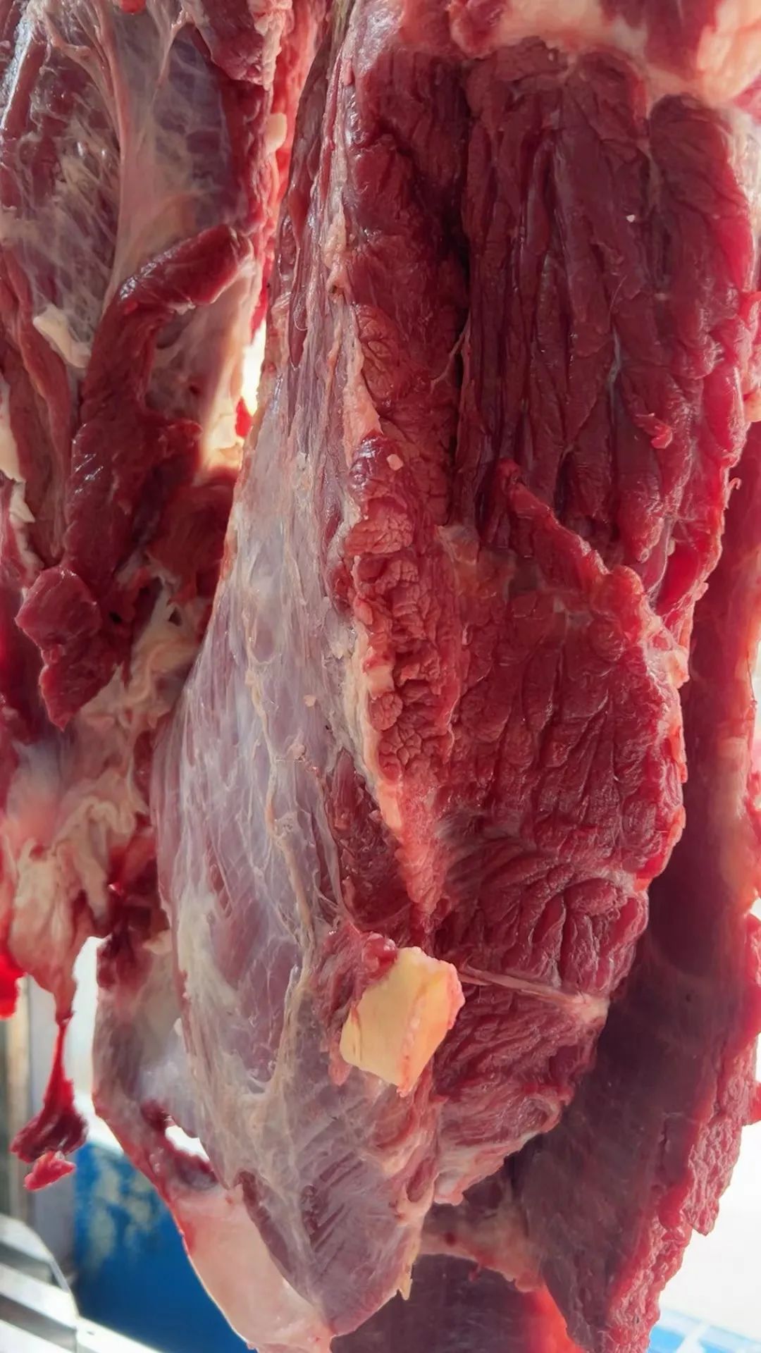 加盟牛肉汤店的利润,热门牛肉汤加盟利润多少