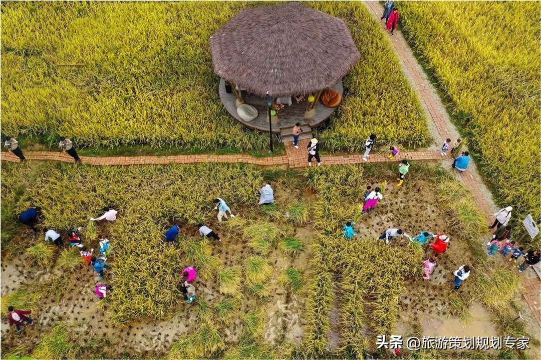 稻田部落研学基地——嘉盛世规划设计案例
