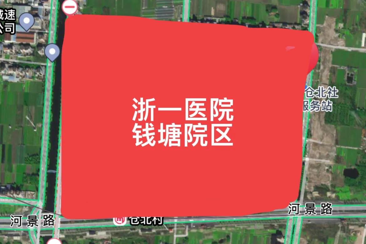 大江东浙一医院规划在哪里,大江东浙一医院