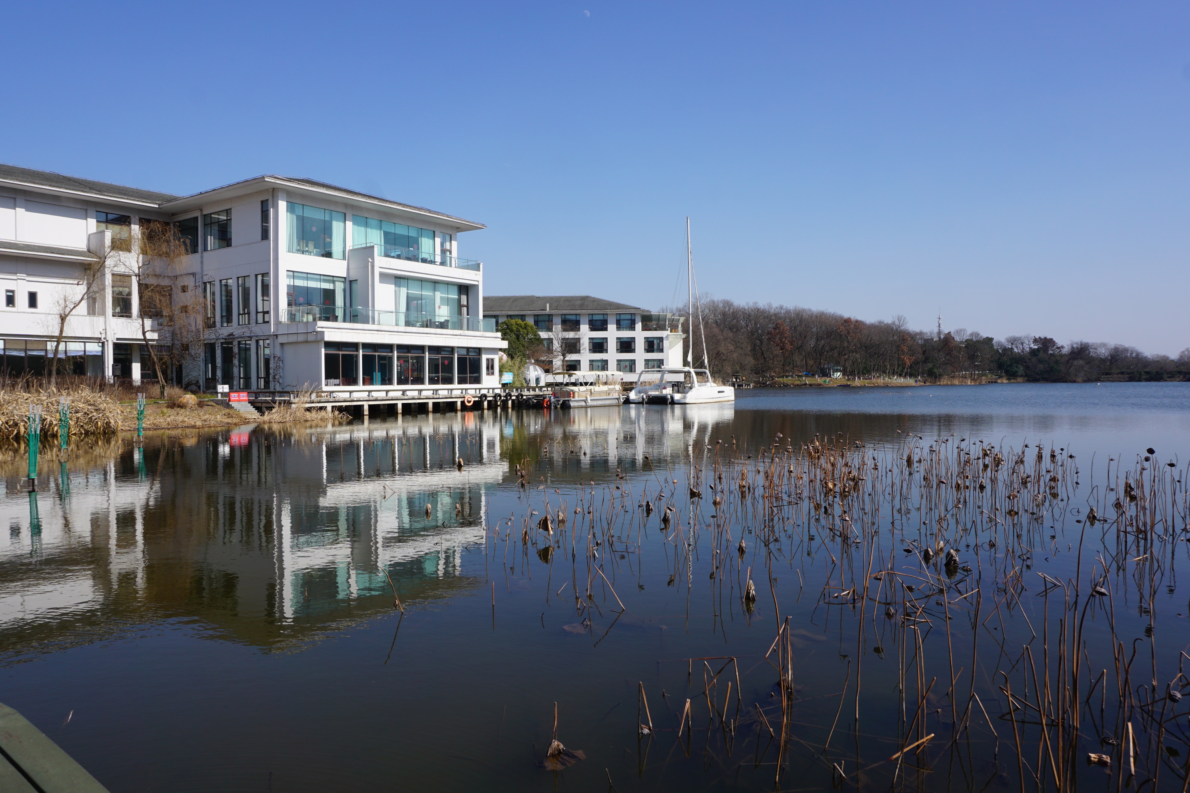 南京人看杭州,南京紫金山庄在哪里