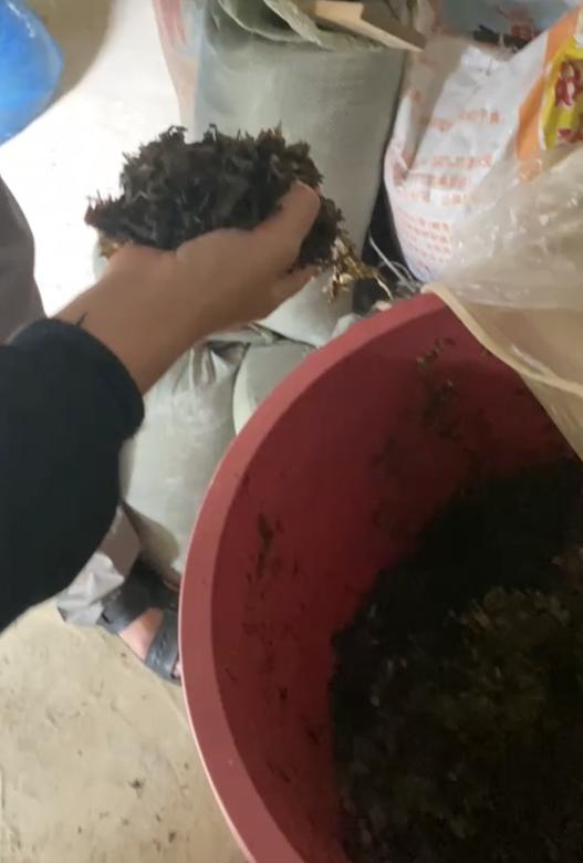 全国生猪现状如何,现在的生猪价格养殖户怎么生存