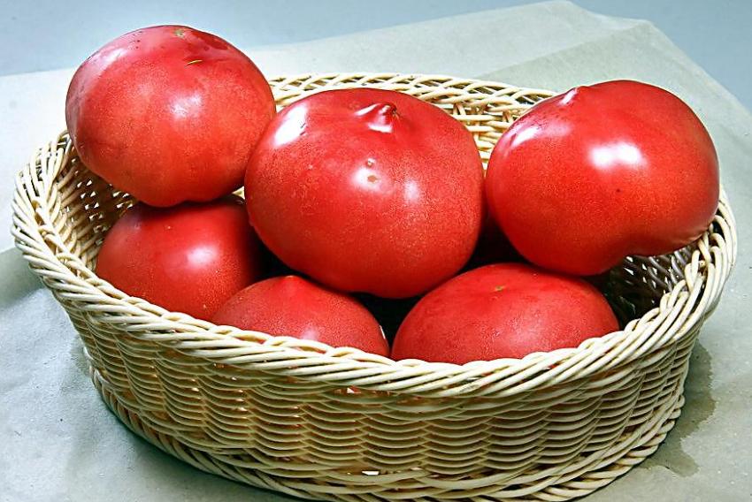 夏天祛湿气最好的水果蔬菜,三伏天吃什么菜最佳祛湿气