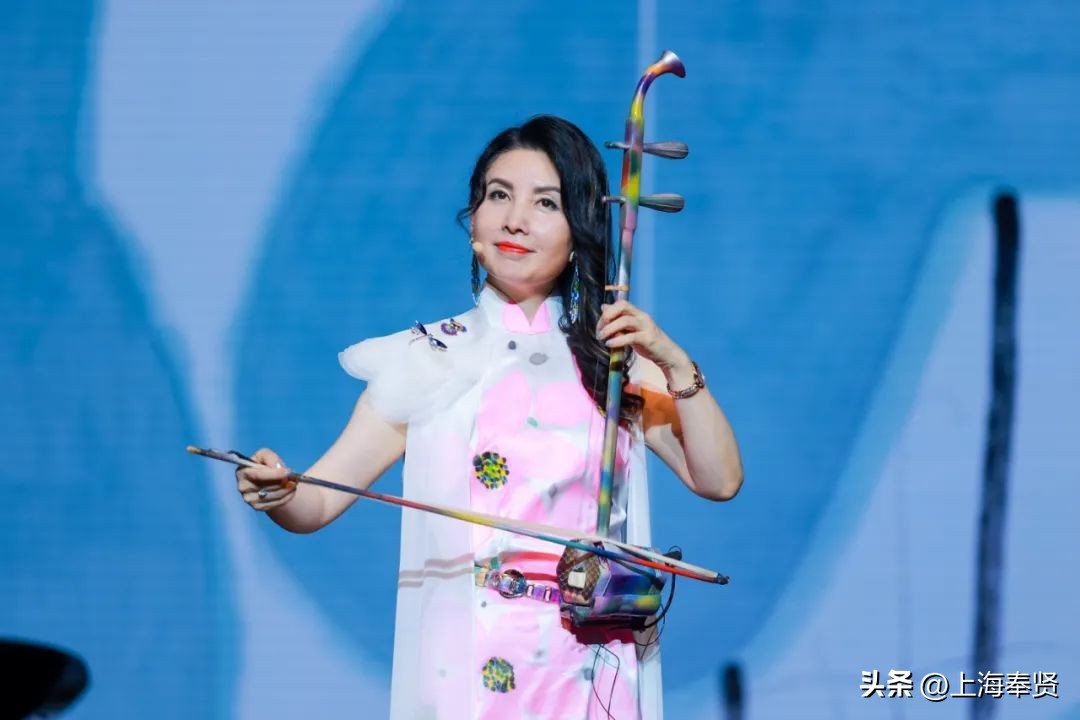 马晓辉二胡演出,马晓晖二胡独奏卧虎藏龙插曲