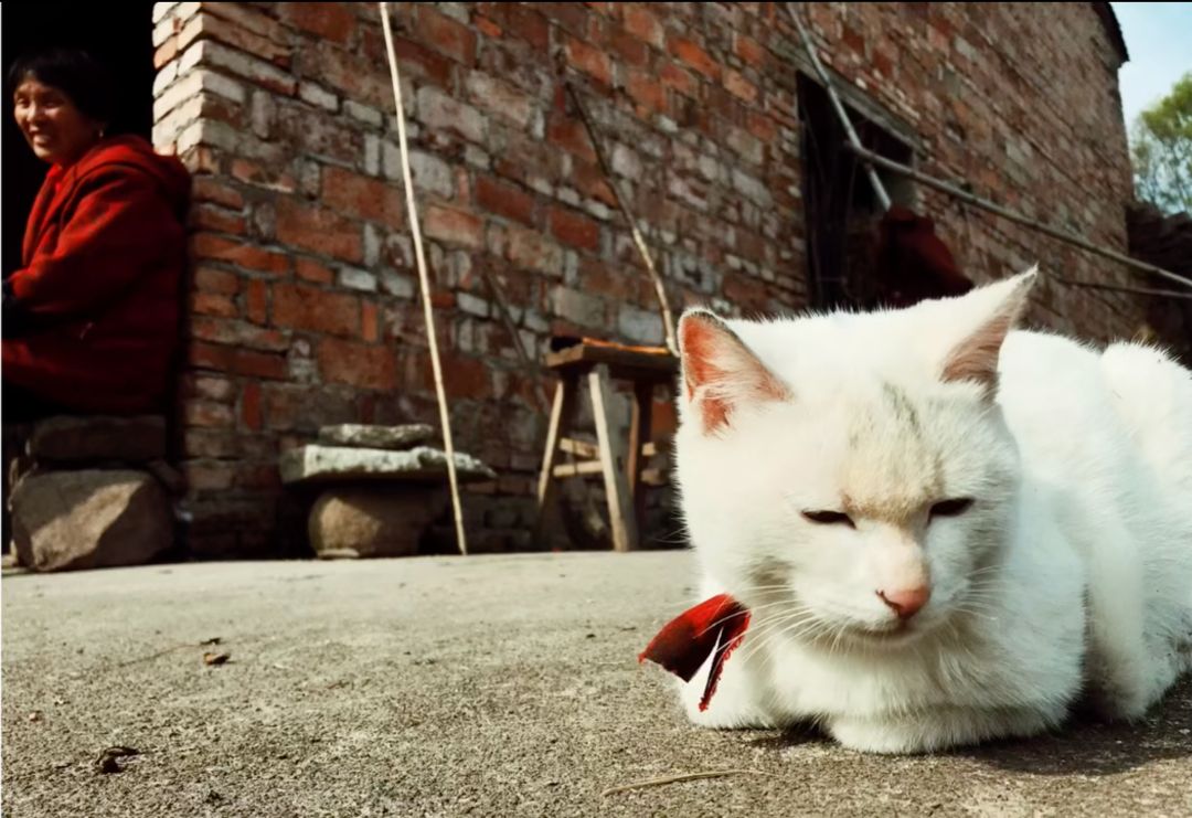 我是秋水，一个失业博主、丧逼青年