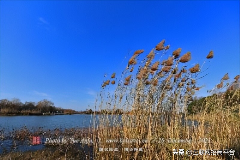 玩转泸西平台隆重招商合作共赢