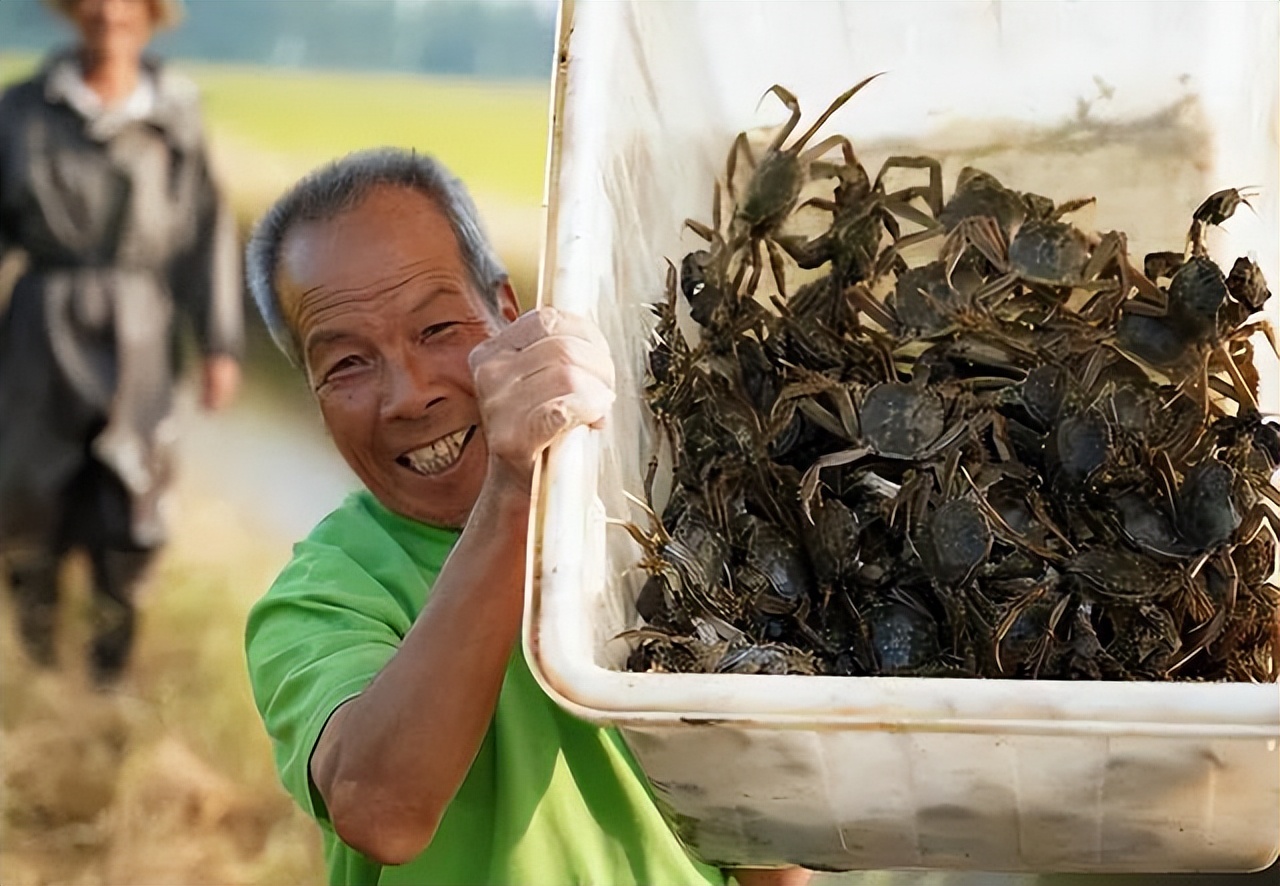 农民丰收节,玉田农民丰收节